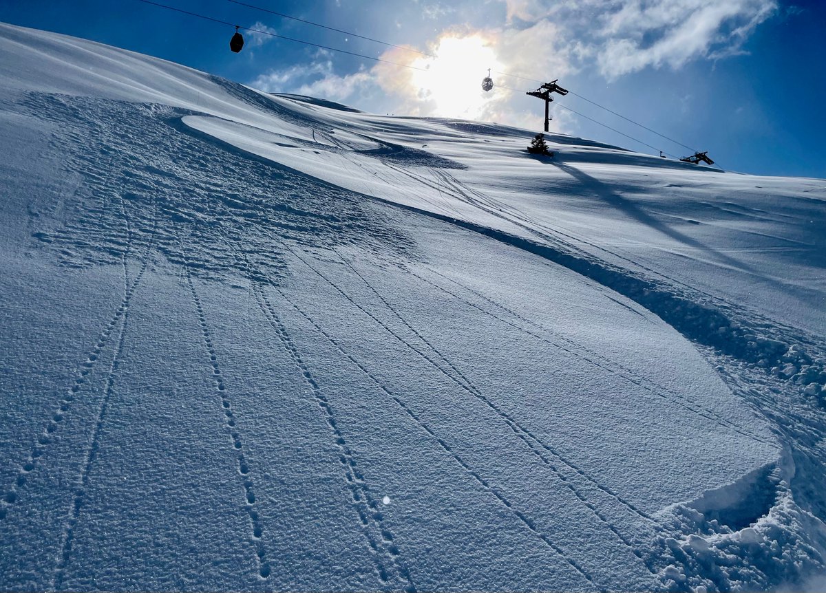 SnowOrDeath's tweet photo. First tracks are good tracks.

#Tirol #Schnee #Rendl https://t.co/1yISj2uAAr