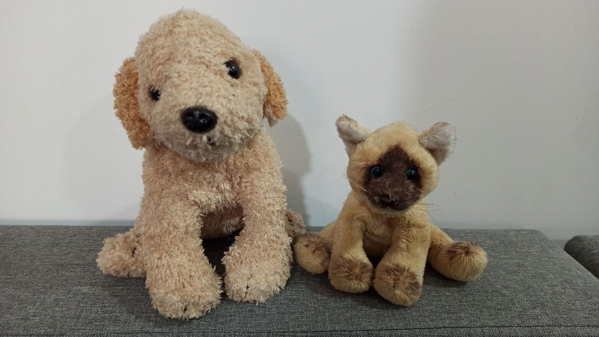 wildbehav's tweet photo. Hoy os presento las razas de perro y de gato ideales para aquellos que no tienen tiempo para dedicarle a su mascota 🐶🐱 👇:

#AdoptDontShop https://t.co/euKQzkebwN