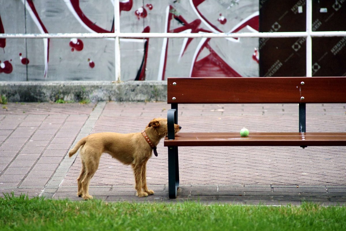 Juankar Hernandez tweet media