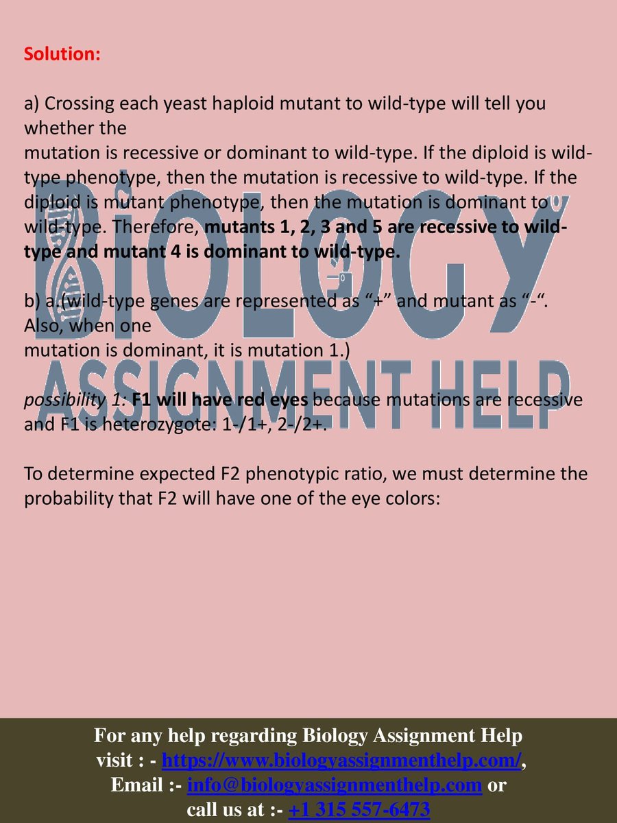 biologyassgn's tweet image. Genetics Assignment Help
Struggling with genetics assignments? Get top-notch Genetics Assignment Help from us. Also, avail exciting discounts on your order. visit us at bit.ly/3oLiaXZ
#geneticsassignmenthelp #biologyassignmenthelp #domybiologyassignment