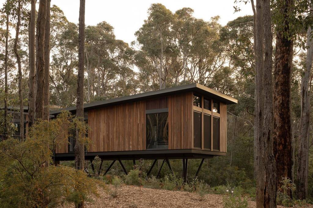 SW WA always good. Treehouse by @suzannehuntarchitect - featured in <a href="/ausdesignreview/">AusDesignReview</a> instagr.am/p/CqU_9tuvHKx/