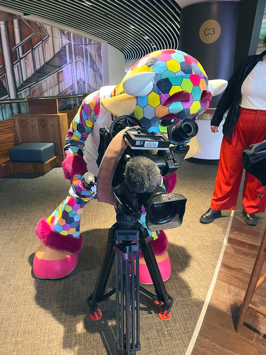 alexshepparditv's tweet photo. Meet the first @ITVCentral camera-bull #PerryTheBull #CommonwealthGames2022 https://t.co/27lF3bUVvx