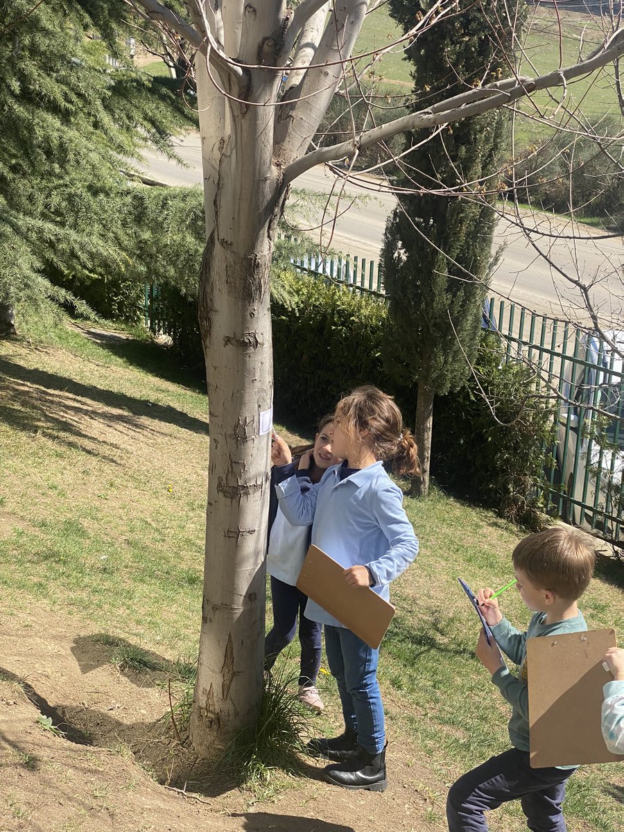 BIST_OL's tweet photo. For their handwriting lesson today @BISTYear1 went outside to hunt for words as the sun was shining #outdoorlearning #lessonsoutside https://t.co/EWH3OiQDGI