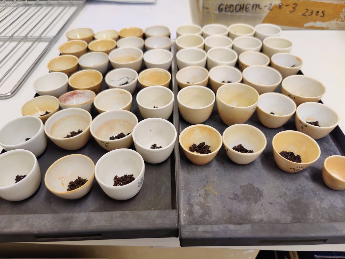 Los_Anjalis's tweet image. We love forbidden cupcakes!
#PhD #labwork #science #WomenInSTEM 
@RHULGeography