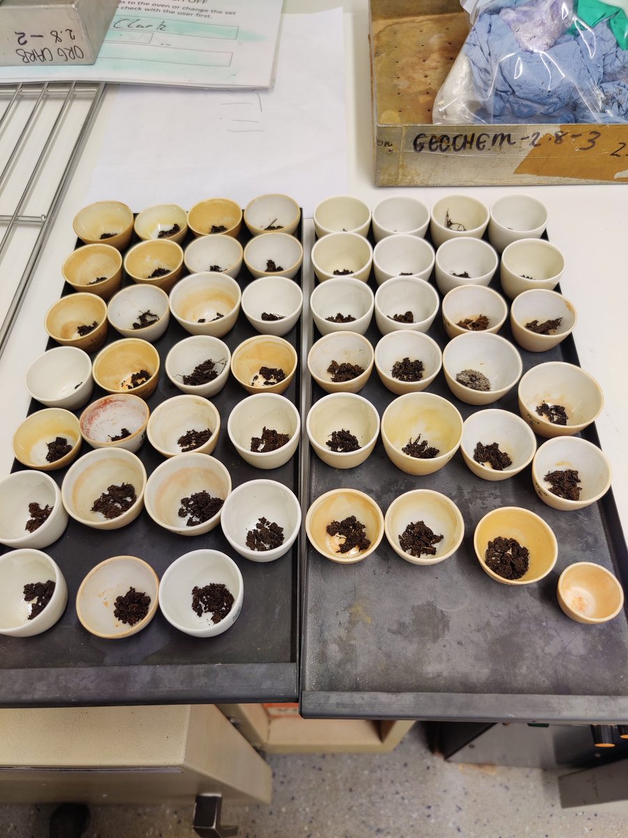 We love forbidden cupcakes!
#PhD #labwork #science #WomenInSTEM 
<a href="/RHULGeography/">RHULGeography</a>