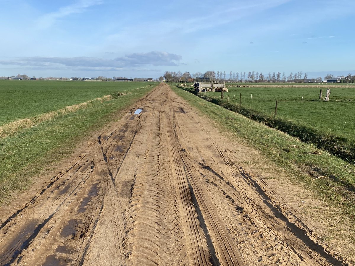 Ervenplatform's tweet photo. Mooi dat er nog #zandwegen zijn waarop je als #ervenconsulent van @HetOversticht kunt fietsen voor veldbezoek. https://t.co/1xEbtWNDIh