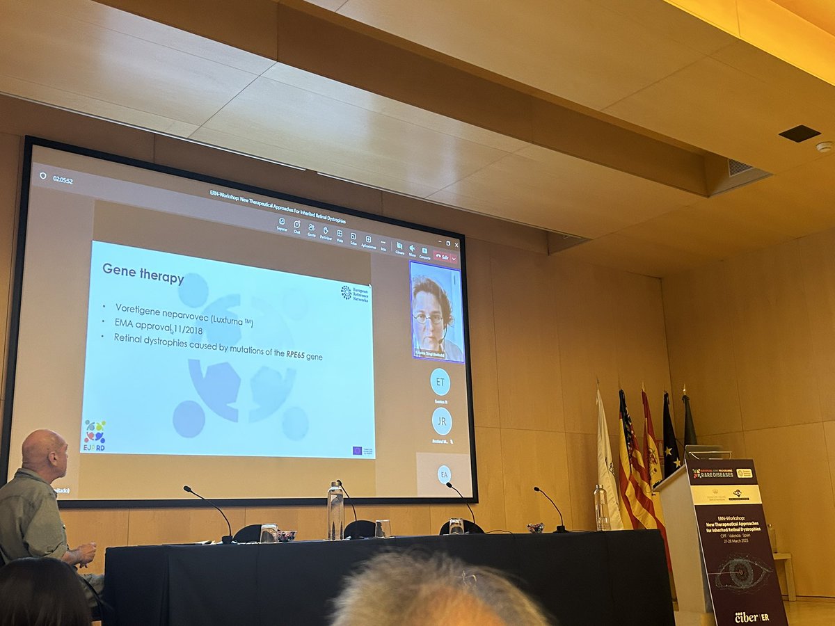 Jandritu's tweet photo. This morning session 4 of #ERNworkshop on gene therapy was amazing with a final very heartful and inspiring story of the first Spanish patient treated with #Luxturna. #retinadiseases https://t.co/D1zPOx2Vqm