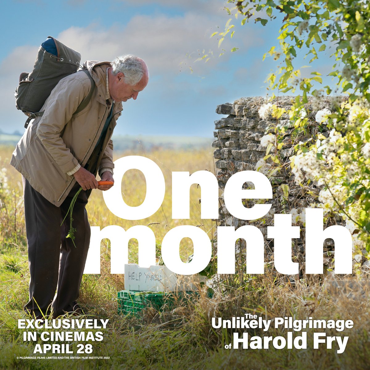 ONE MONTH... until Harold starts his pilgrimage. Join him exclusively in cinemas April 28th.