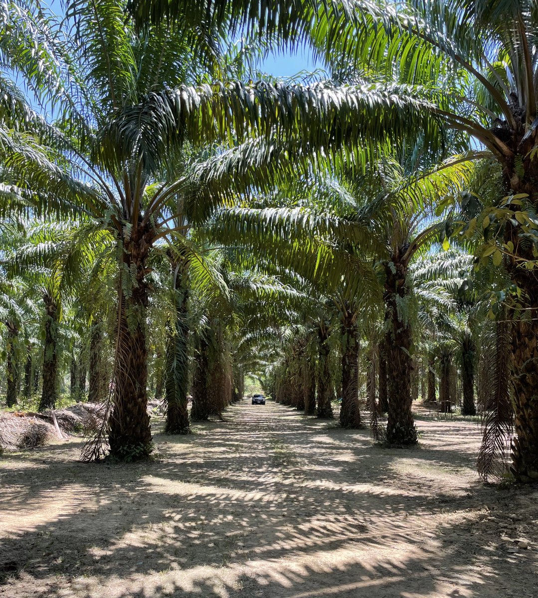 🦸🏻‍♂️ Motivation for the day ✨

If you are oppressed, then you live in the past.  If you are anxious, then you live in the future.  If you are peaceful, then you live in the present 🙌🏼