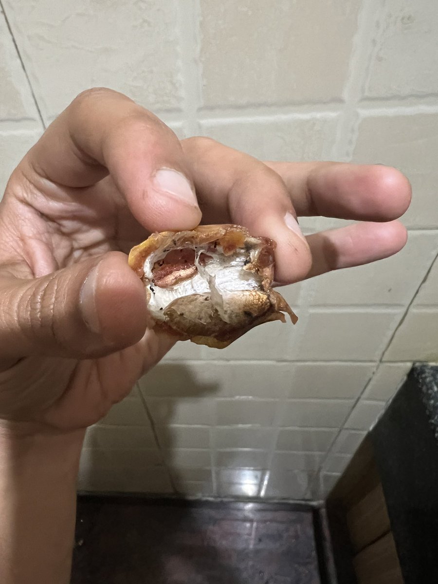 gowda_ROHI's tweet photo. &amp; after making sure you get to know this , your representative says SORRY , so you people are sorry if we eat &amp; something happens to us also @LionDatesIndia really ?? @jagograhakjago look into this the so called hand picked lion dates https://t.co/rPOCtiwCOy