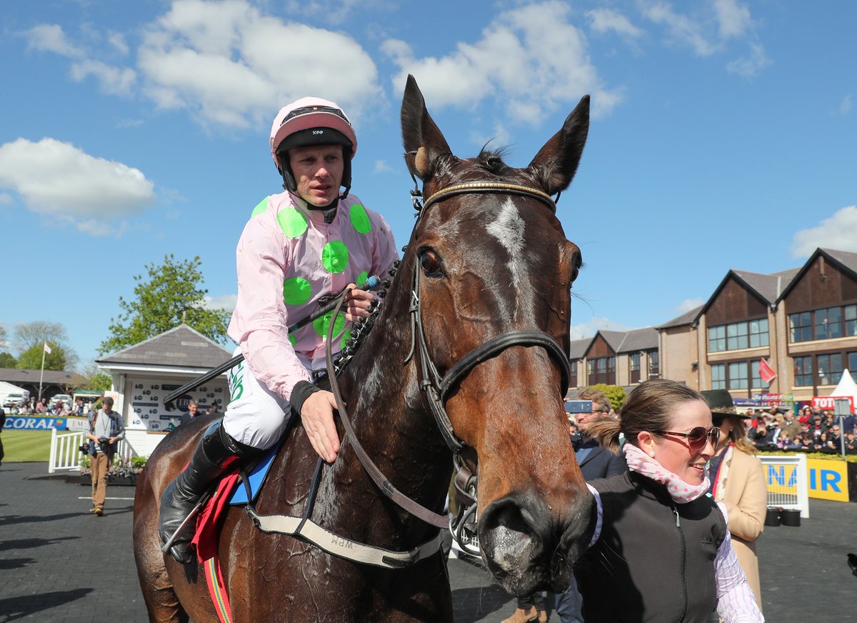 My Racing Tips tweet media