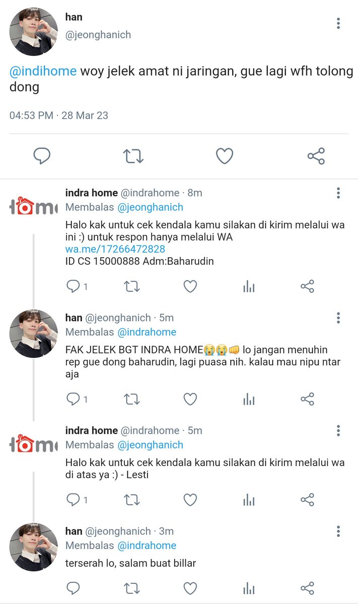 alea tweet media