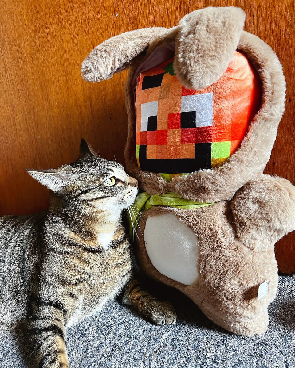 diamantenglitze's tweet photo. Mini Paluten im Osterhasen Kostüm ist da 😍wie süß ist der den 😍
@Paluten
#minipaluten #osterhase #miniosterhase #paluten #kovu #cat https://t.co/grHawykwfs