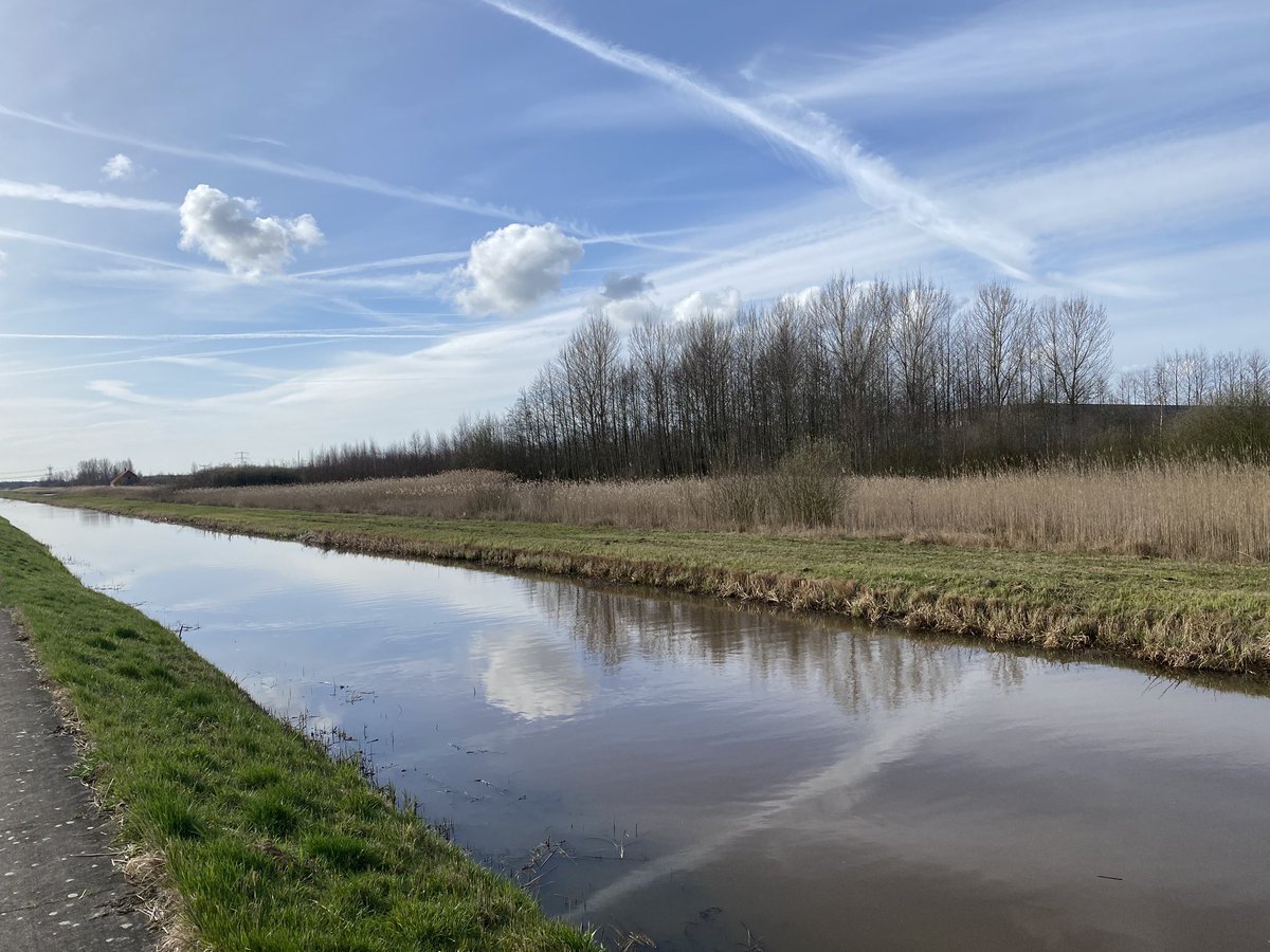 Ervenplatform's tweet photo. Zo zie je maar weer dat enkele #solitairebomen van grote waarde zijn  in het denderende #dozenlandschap van #Hessenpoort. De #lanen beginnen kracht te krijgen. En zelfs #biodiversiteit begint te landen. Wat een contrasten! https://t.co/LLofJ23jBC