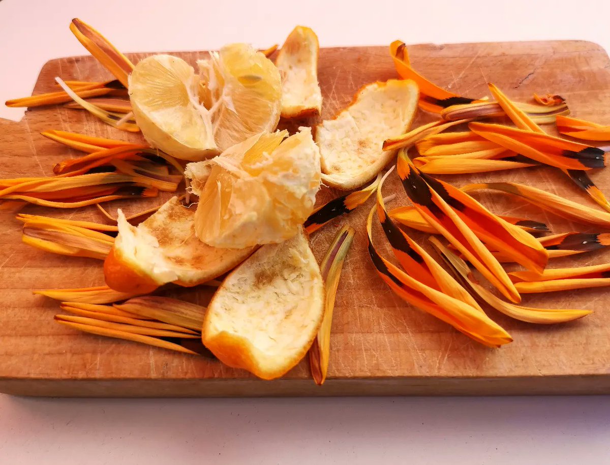 FoodfileBas's tweet photo. La limetta, un #agrume per tutti i gusti e per tutti gli olfatti. Anche un #liquore unico e tutto in #Basilicata https://t.co/SUqkQztM5u https://t.co/fjLK2eRKmV