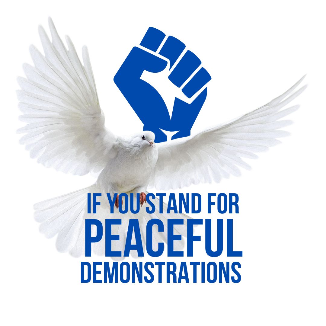 RailaOdinga's tweet photo. Let us unite in support of the call for peaceful demonstrations and against police brutality by changing our profile pictures to the last photo available here. 

Together, we can make our voices heard and declare that #IStand. https://t.co/swKsFrl9vC