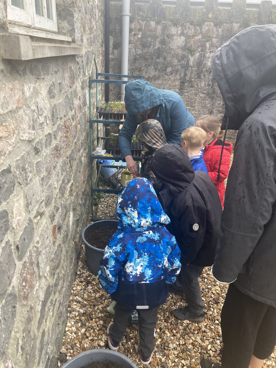 LympshamAcademy's tweet photo. 🌱🪴🌱🪴🌱🪴🌱🪴🌱🪴🌱🪴

This morning we have been super busy in our new sensory garden and with the help of Mrs Butt and Mr Stafford, we have sewn many vegetable seeds and installed a new water feature.

We cannot wait to see this space evolve through the seasons ☺️ https://t.co/ic721wiu8Z