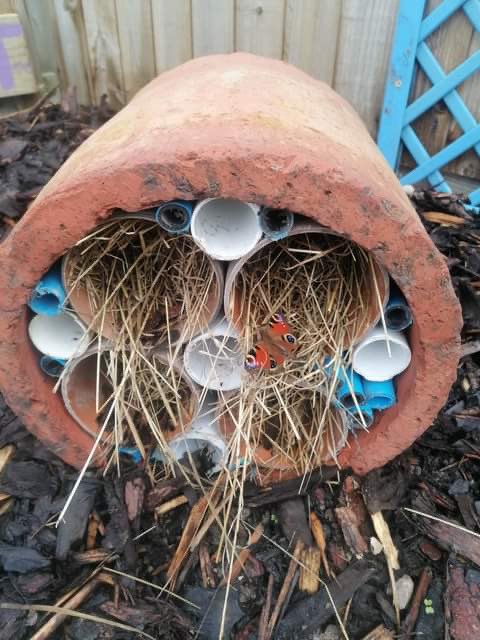 🌱🪴🌱🪴🌱🪴🌱🪴🌱🪴🌱🪴

This morning we have been super busy in our new sensory garden and with the help of Mrs Butt and Mr Stafford, we have sewn many vegetable seeds and installed a new water feature.

We cannot wait to see this space evolve through the seasons ☺️
