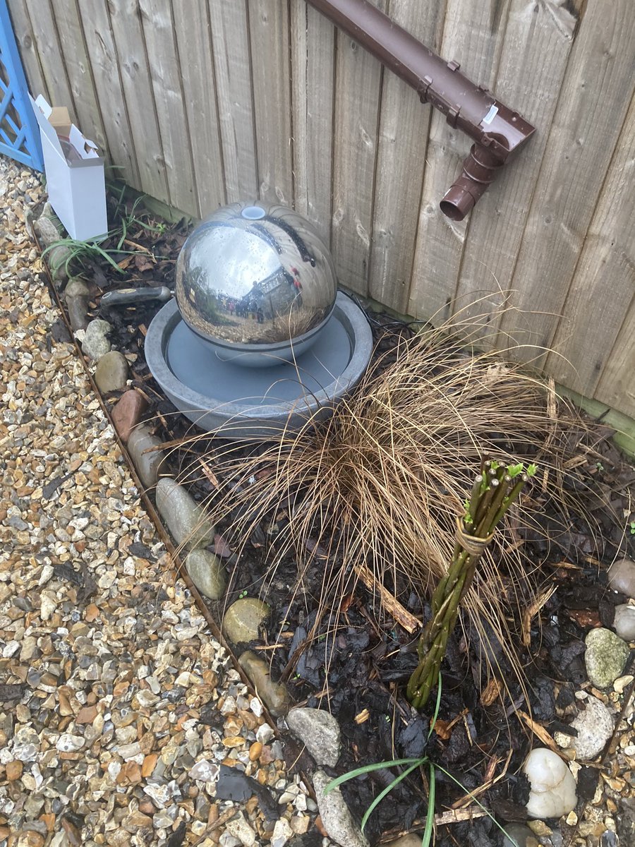 LympshamAcademy's tweet photo. 🌱🪴🌱🪴🌱🪴🌱🪴🌱🪴🌱🪴

This morning we have been super busy in our new sensory garden and with the help of Mrs Butt and Mr Stafford, we have sewn many vegetable seeds and installed a new water feature.

We cannot wait to see this space evolve through the seasons ☺️ https://t.co/ic721wiu8Z