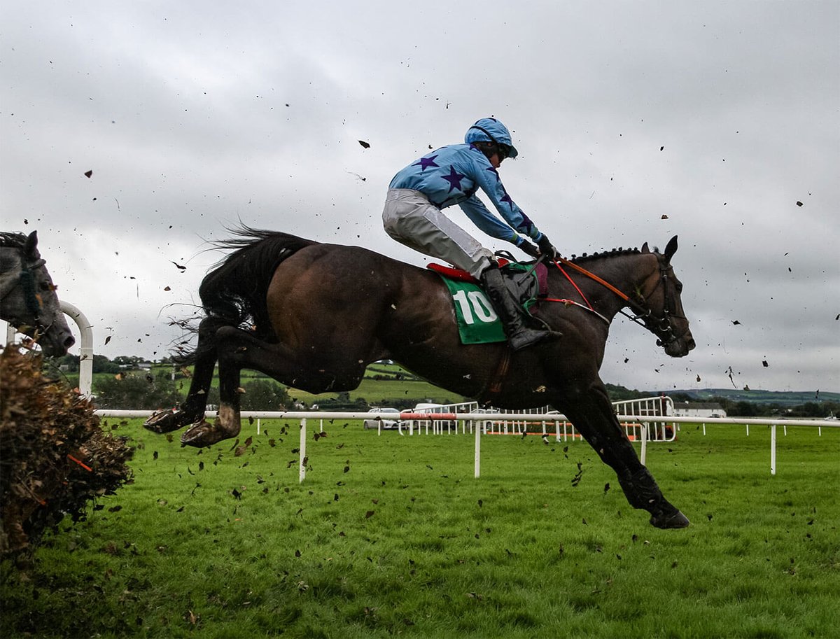 bettinganalystt's tweet photo. HEXHAM VALUE RACING TIP

After bagging the winnings yesterday (2 nice odds winners for FREE), we had many new subscribers for our Fantastic racing offer.

In the meantime, here is another.

HEXHAM 4:15

https://t.co/jo0cqkZmjD

#racingservice #racingtips #progambler https://t.co/Ffj73OwEDp