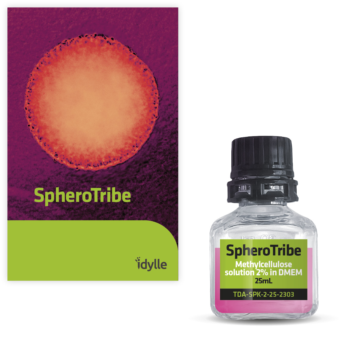 IdylleLabs's tweet photo. 📢Grand opening of the #SpheroTribe #TestProgram today!!
✅You are doing #3DCellCulture or #DevelopmentalBiology, #Spheroid invasion assays or drug screening?
🎟️Be an early-user of SpheroTribe, get it at a reduced price before its release💥
https://t.co/U12ejjYKh4
#microscopy https://t.co/wZAfmhB5CE