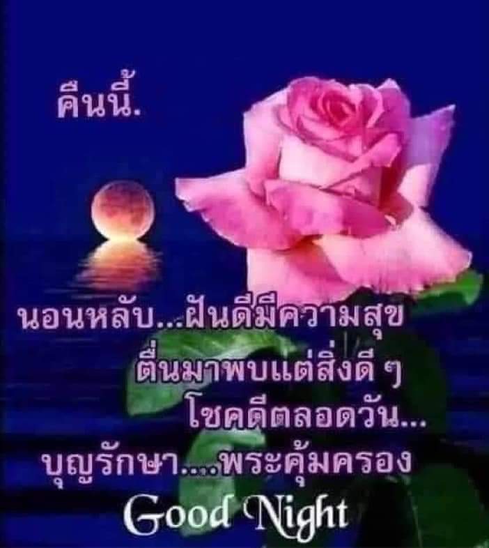 Non45084161's tweet photo. @kr36059711 https://t.co/hpMdVL5o2D
