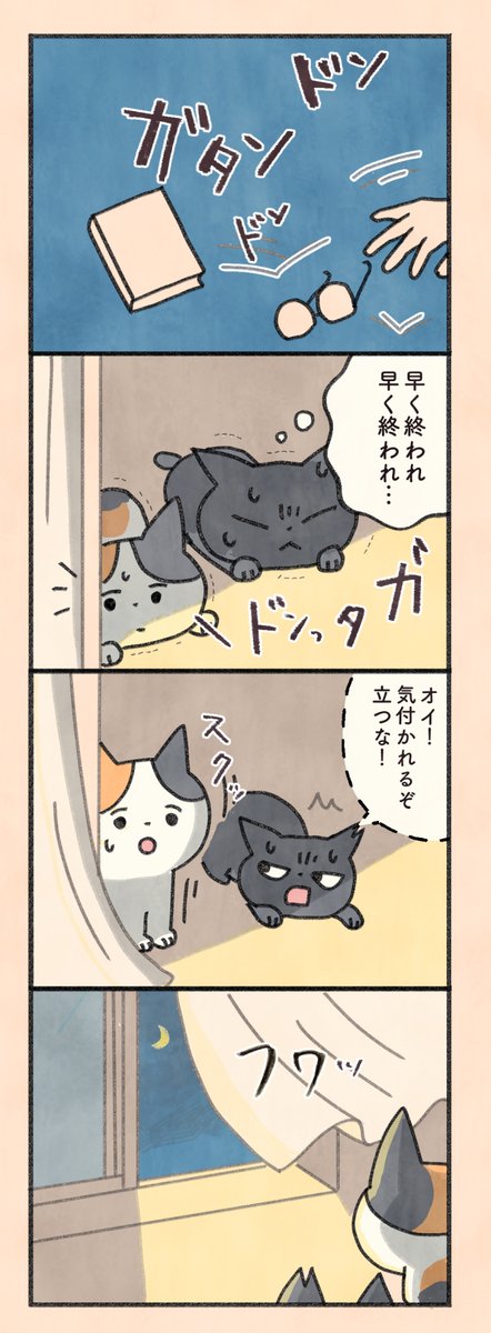 「もしもなんて来ないと思ってた猫」第5話

毎日20時、1日1ページずつ更新。
今日は2ページ更新。

#もしも猫 