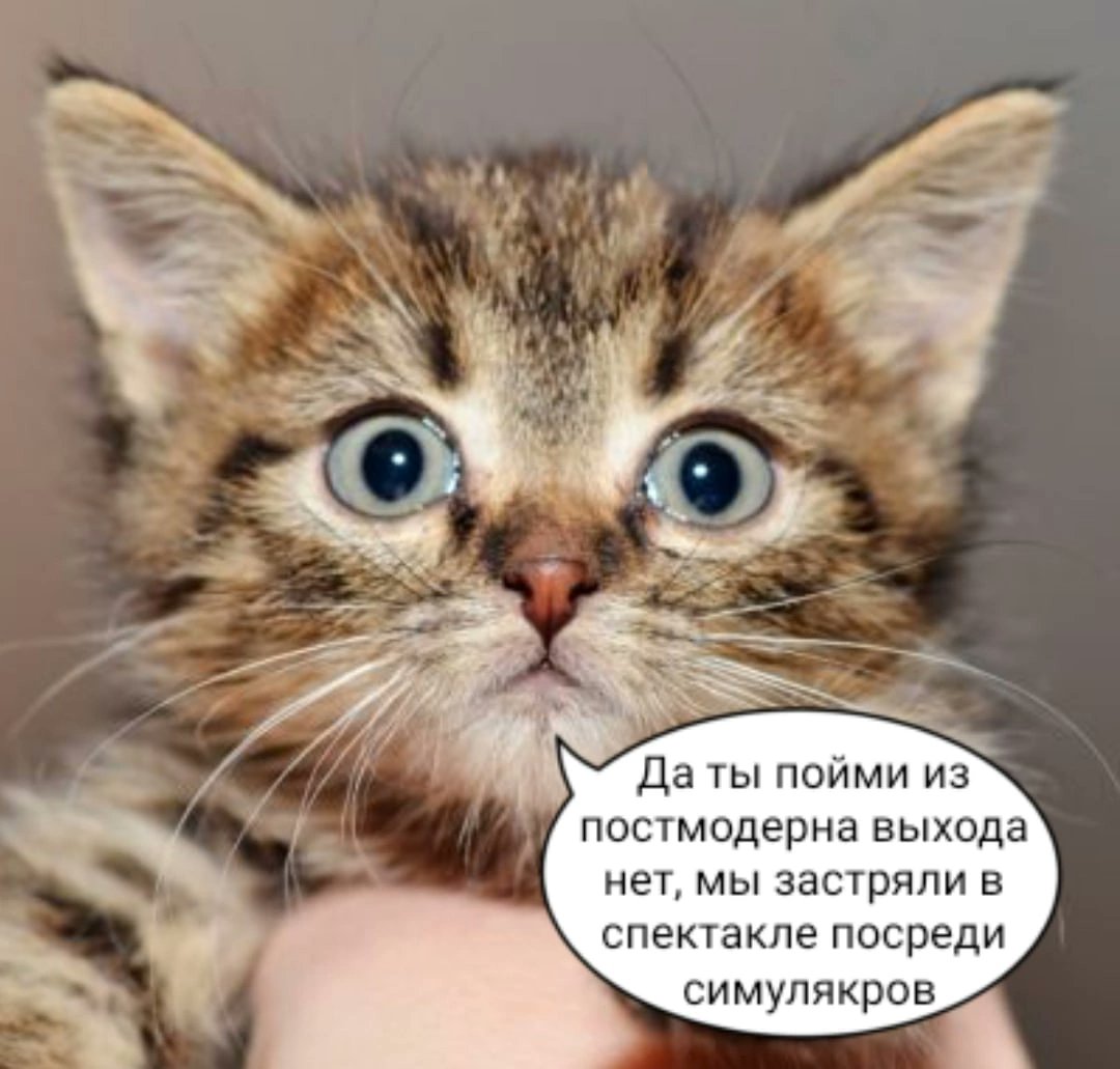 Может опрос устроить на секси персонажа лотра?....