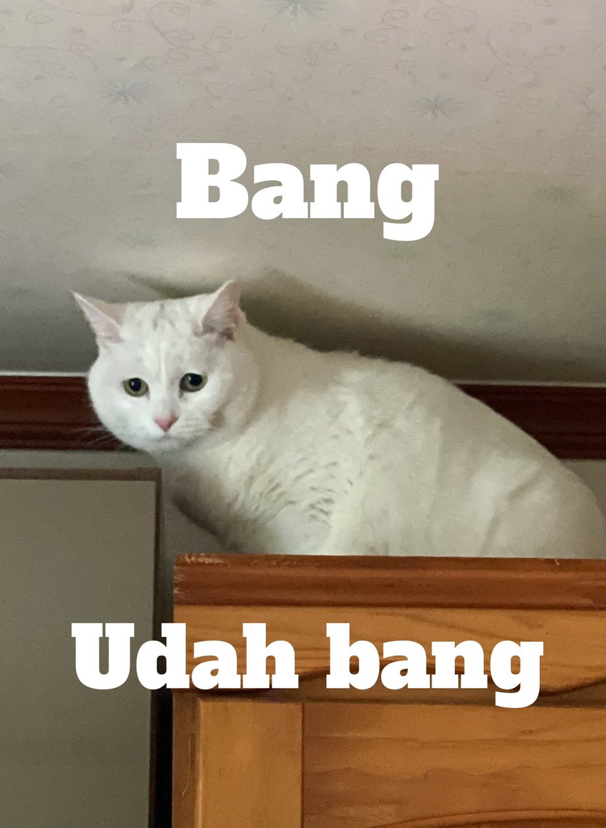 Vsnte_92's tweet photo. @bluelockfess Mentang-mentang badan bagus, pamer abs sembarangan https://t.co/EQlNE1mIhg
