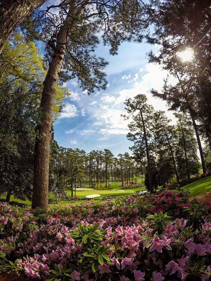 GeraintGolf's tweet photo. #TheMasters ⛳️ 9 Days and counting 😁 https://t.co/7SVehuzfyA