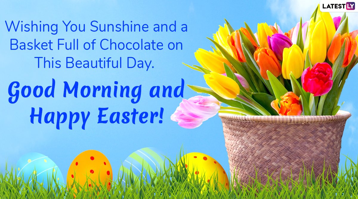 RainbowsGb's tweet photo. Good Morning and Happy Easter !! 🐣🐥
#rainbowsgb 🌈 #easter #Easter2023 #eastereggs #easterbunny #EasterSunday #eastersunday2023 #goodmorning #sunday #chocolate #lotsofchocolate https://t.co/dEoX5tF0j4