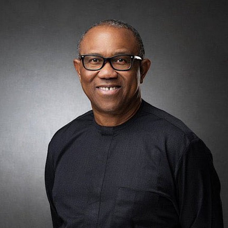 I created this with HTML and CSS. ❤️🇳🇬❤️

#obiwon #peterobi #nigeriaelections2023