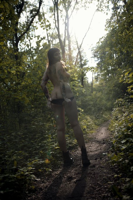 DollNotion