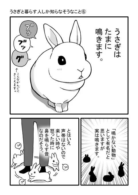 うさぎと暮らす人しか知らなそうなこと⑥を描きました。

#うさぎのいる暮らし 
#うさぎのいる生活 