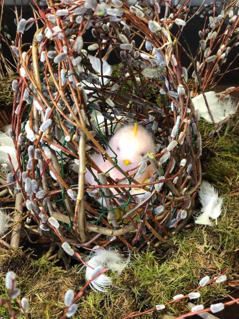 SarahHorne1's tweet photo. The Easter countdown is on!

Making an Easter Nest 🪺👏🐣

#easter #easterdecor #shopsmall #shoplocal https://t.co/djWYkHZvOW