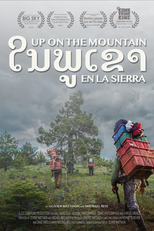 Wild mushrooms and the political ecology of commercial foraging in the American West. A review of the documentary film Up On The Mountain - undisciplinedenvironments.org/2023/03/28/wil…