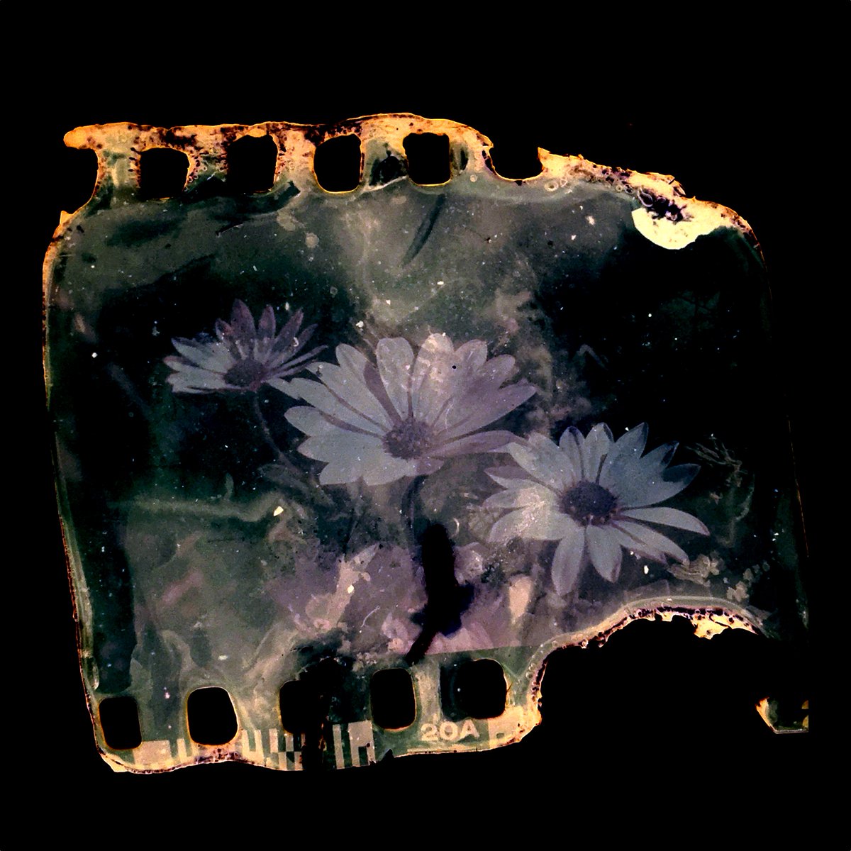 Gm and happy #tezostuesday 💜