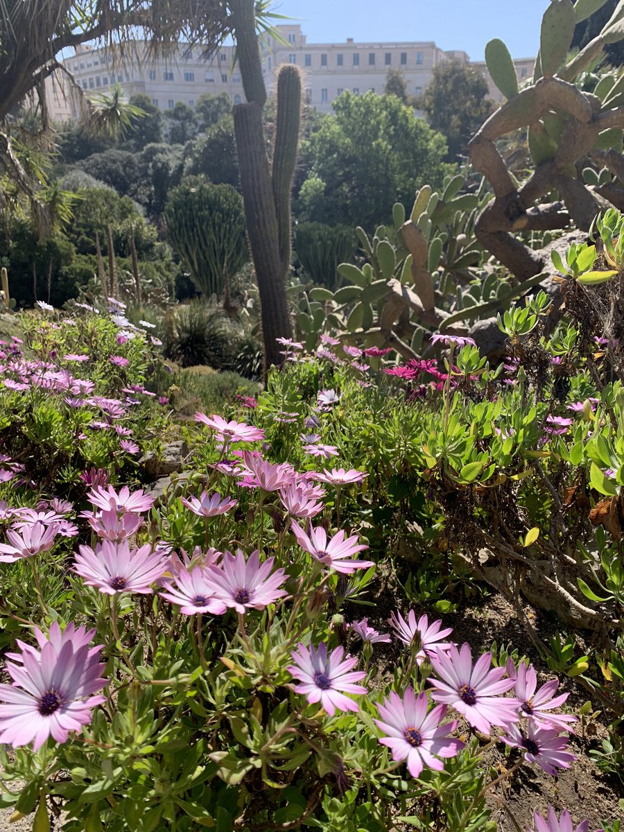 Dal primo aprile l’Orto Botanico rimarrà aperto dalle 9 alle 18, con orario continuato, tutti i giorni escluso il lunedì