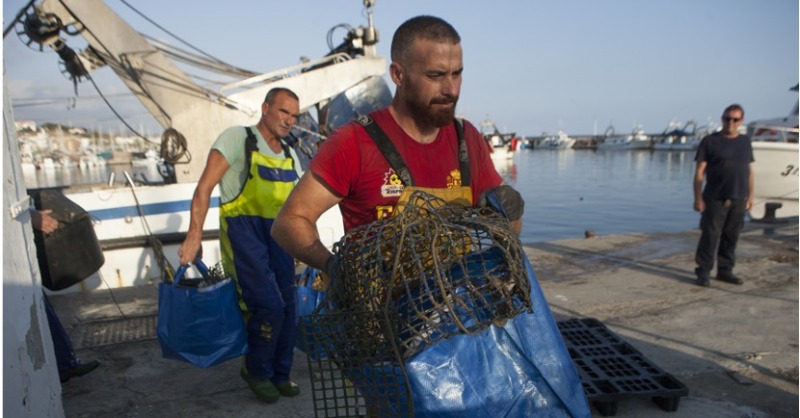 LifeIntemares's tweet photo. 🚢 La iniciativa #INTEMARESCaladerosLimpios, impulsada por @mitecogob con el apoyo de @Vertidos_Cero, ha comenzado las acciones demostrativas de pesca de basura marina en Fuengirola y Camariñas.

🎣 Con la colaboración de los pescadores.

🌊 En el marco de #INTEMARES.

Más info👇
