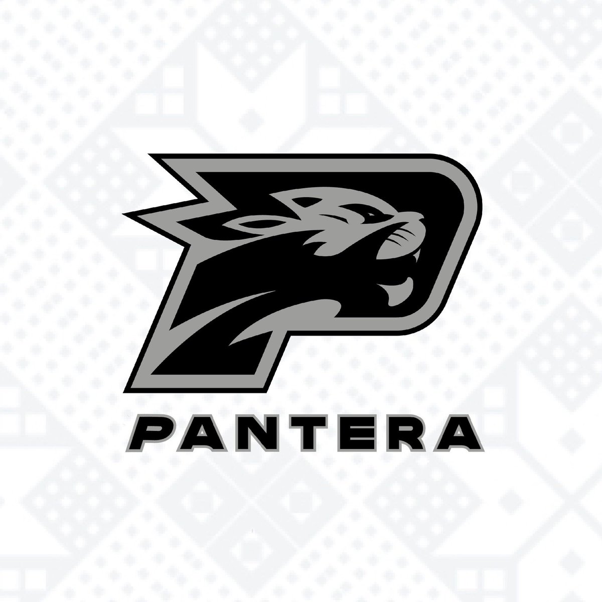 PANTERA Basketeball Club tweet media