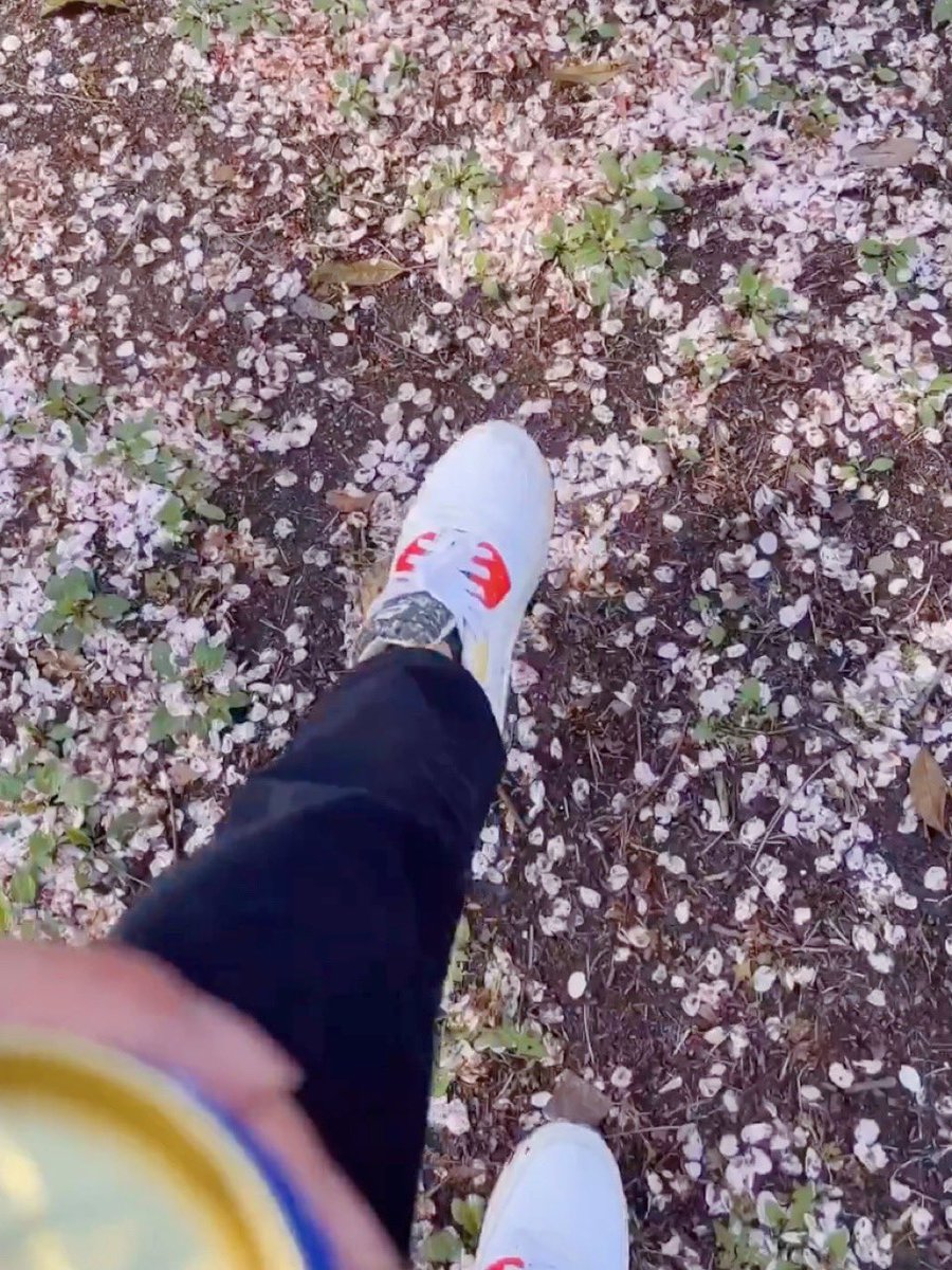 dewi✿ |💭 tweet media