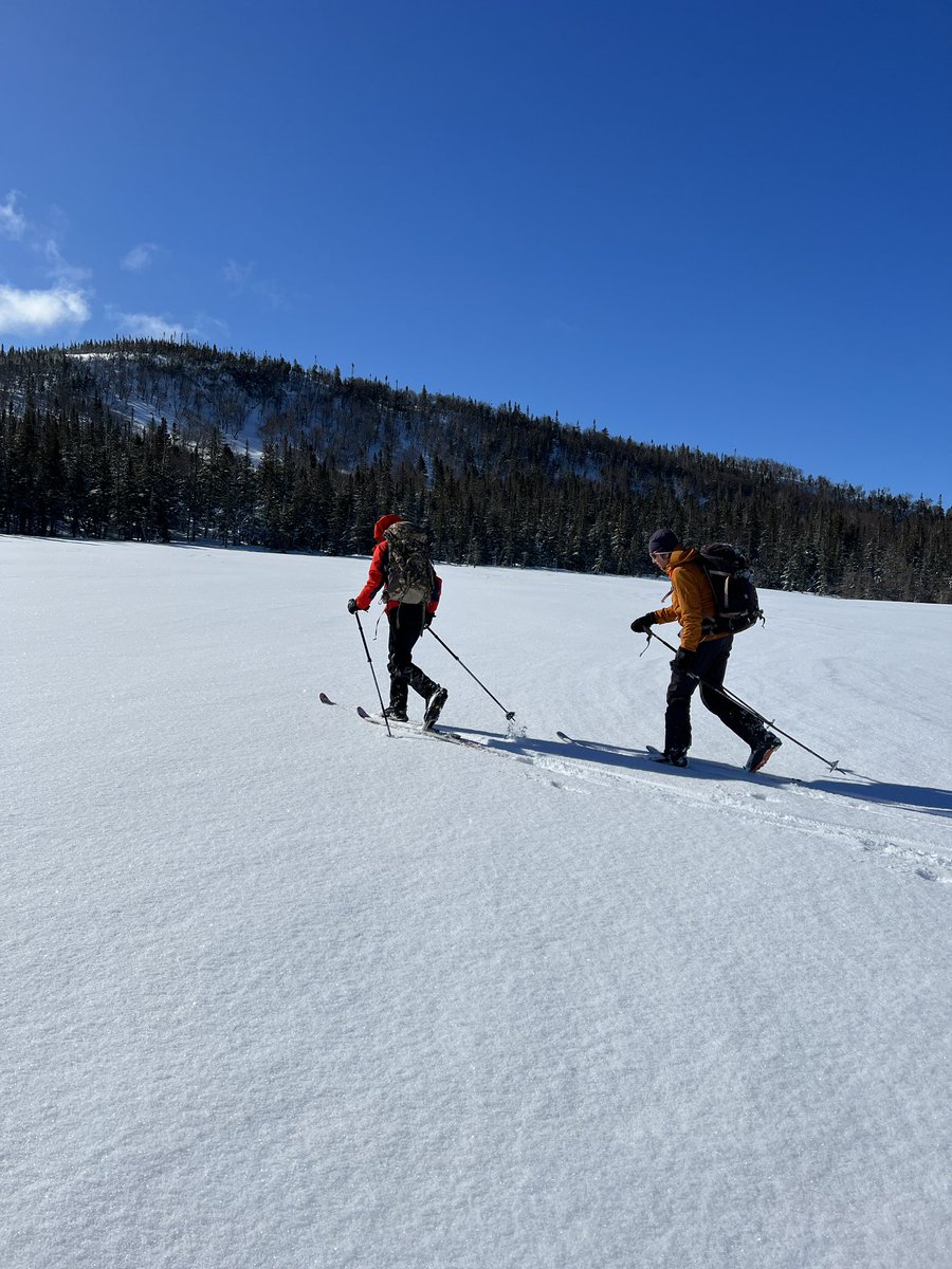 Dr. TA Loeffler tweet media