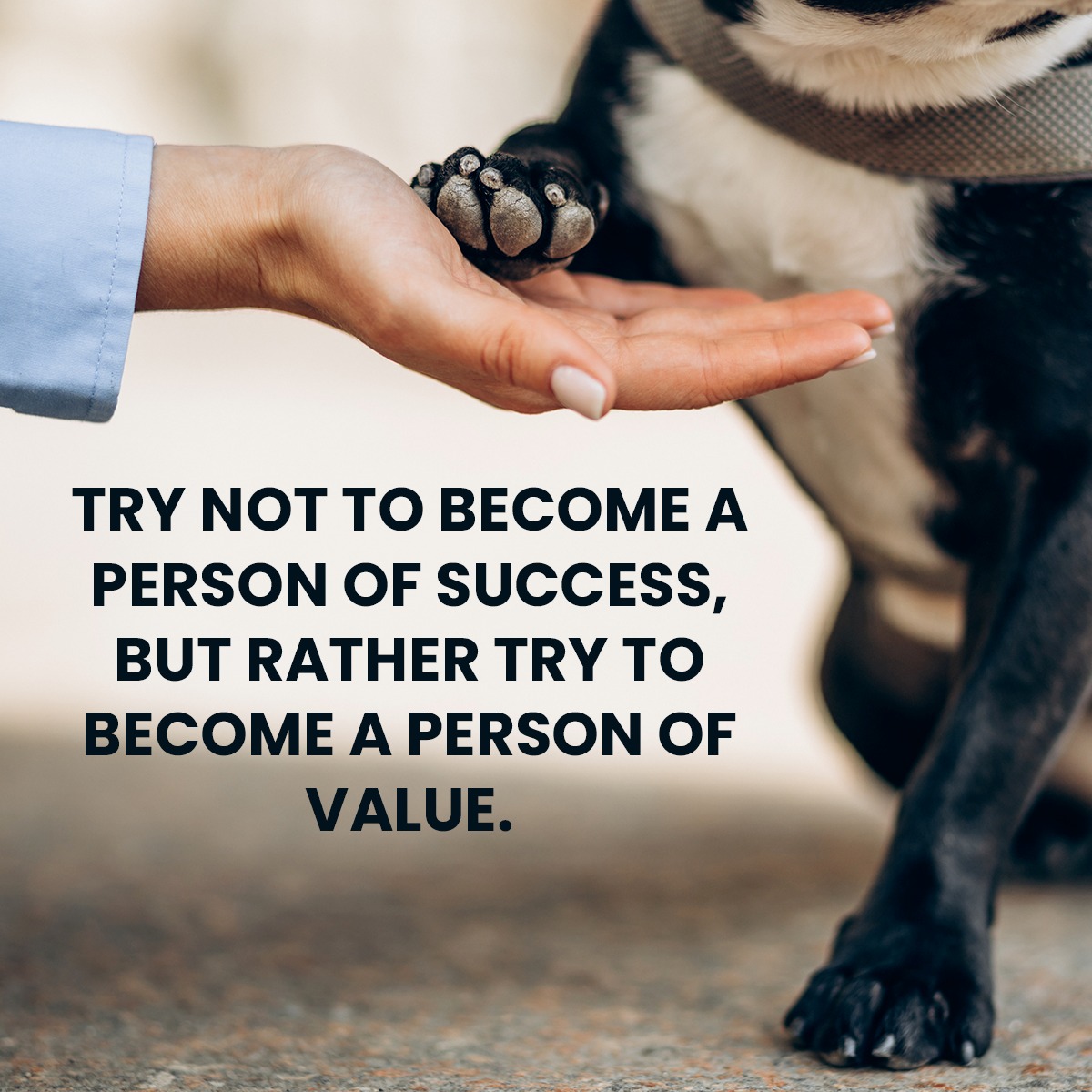 beatoflifeent's tweet photo. Try not to become a person of success, but rather try to become a person of value.
.
.
#peson #success #value #beatoflifeentertainment #bleindia #ble #beatoflife https://t.co/spHCsizWc7