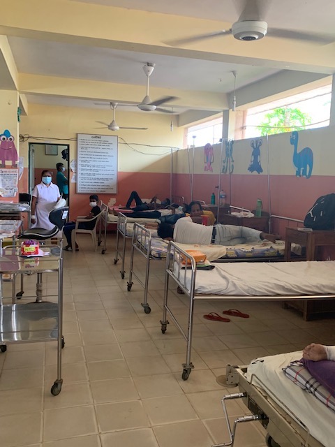 DrNancyOlivieri's tweet photo. Back from working in #SriLanka, where the financial crisis has had a huge impact on the public #healthcare system. 🙏 to all at @Hemoglobal working here &amp; there 
@hemoglobaluoft @HemoglobalUW @machemoglobal @trenthemoglobal @HemoglobalYorkU 
And look who showed up...❤️!
/1 https://t.co/d8soykvhwM