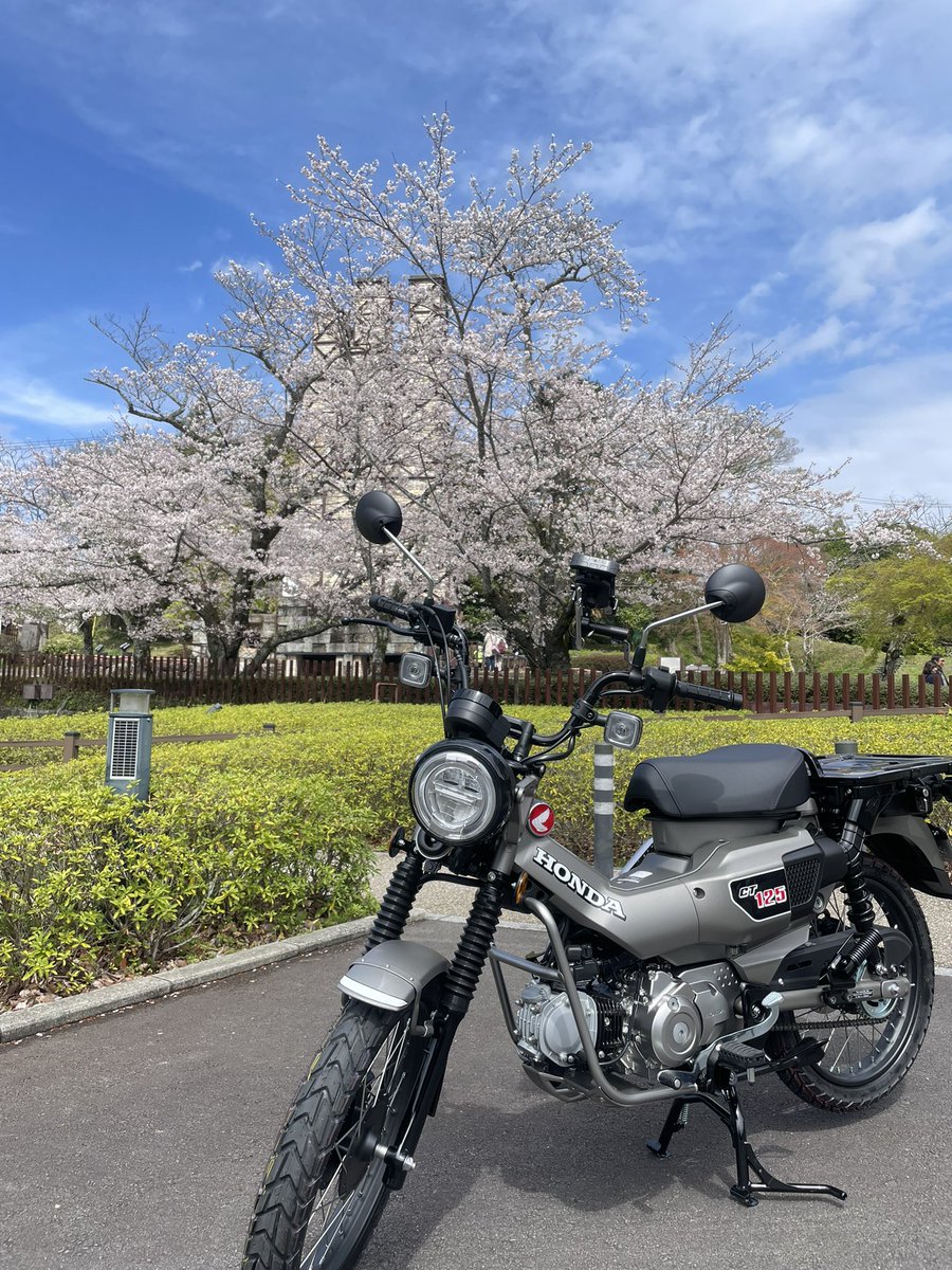 cub_itengineer's tweet image. ついに新型ハンターカブ手に入れた！
#ct125 #ハンターカブ #JA65 #ツーリング