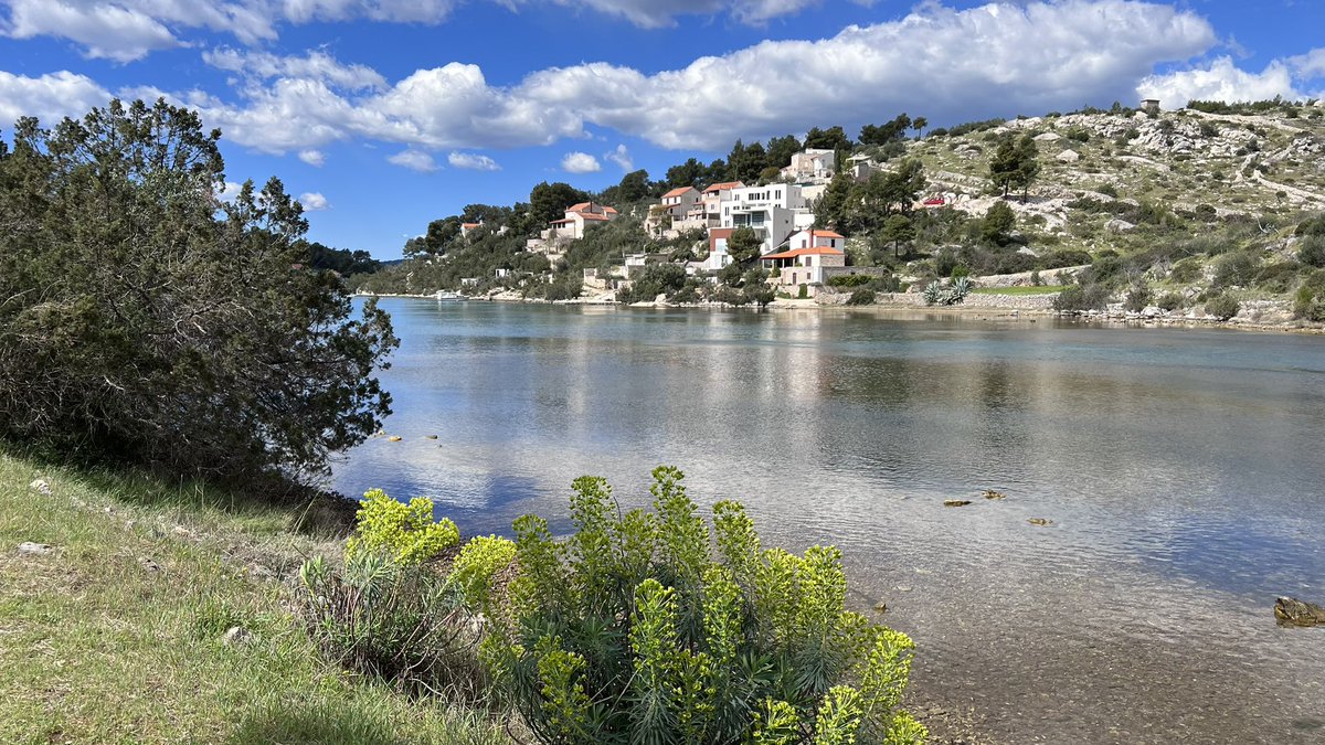 Harm040's tweet image. Dagje fietsen ook niet verkeerd! #Brac 🇭🇷🚴‍♂️#blauwhelm