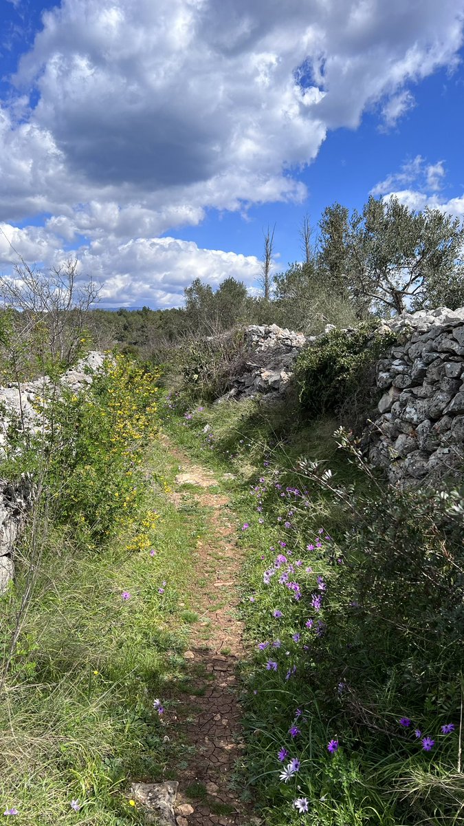 Harm040's tweet image. Dagje fietsen ook niet verkeerd! #Brac 🇭🇷🚴‍♂️#blauwhelm