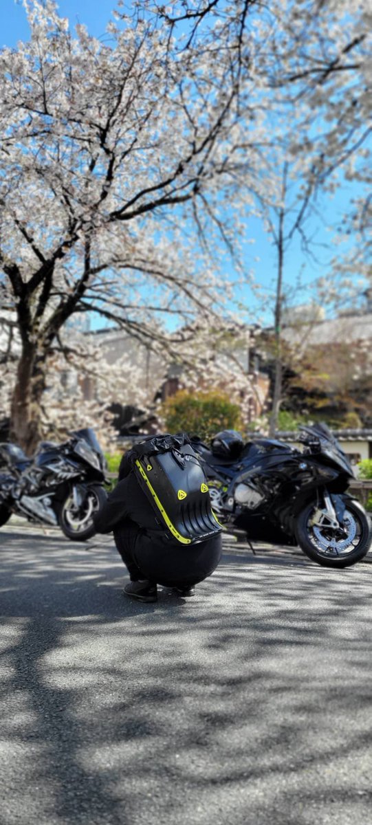 ADAMAS______'s tweet image. お花見してきました🌸🍡

@MUN___RR  📷🙆‍♂️

#バイクでつながる 
#バイク好きと繋がりたい 
#S1000RR
#桜