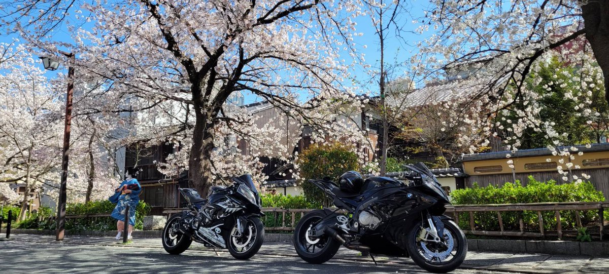 ADAMAS______'s tweet image. お花見してきました🌸🍡

@MUN___RR  📷🙆‍♂️

#バイクでつながる 
#バイク好きと繋がりたい 
#S1000RR
#桜