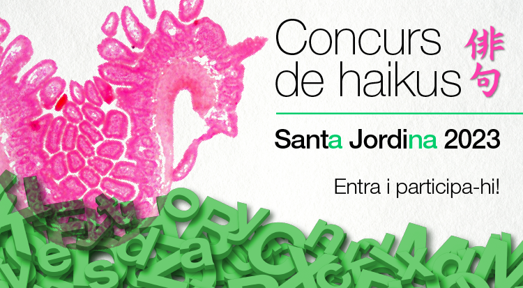 ICS. Generalitat (@icscat) on Twitter photo Aquest #SantJordICS la llegenda l’escrius tu! Anima’t a participar i envia'ns com a màxim tres haikus formats per tres versos femenins i no cal rima fonètica! Anima’t i participa al concurs, pots tenir premi! ics.gencat.cat/ca/actualitat/… @ateneubcn Aquest #SantJordICS la llegenda l’escrius tu! Anima’t a participar i envia'ns com a màxim tres haikus formats per tres versos femenins i no cal rima fonètica! Anima’t i participa al concurs, pots tenir premi! ics.gencat.cat/ca/actualitat/… @ateneubcn